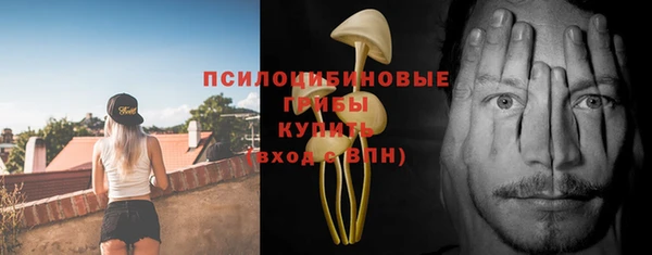 шишки Пролетарск