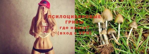 мяу мяу мука Алзамай
